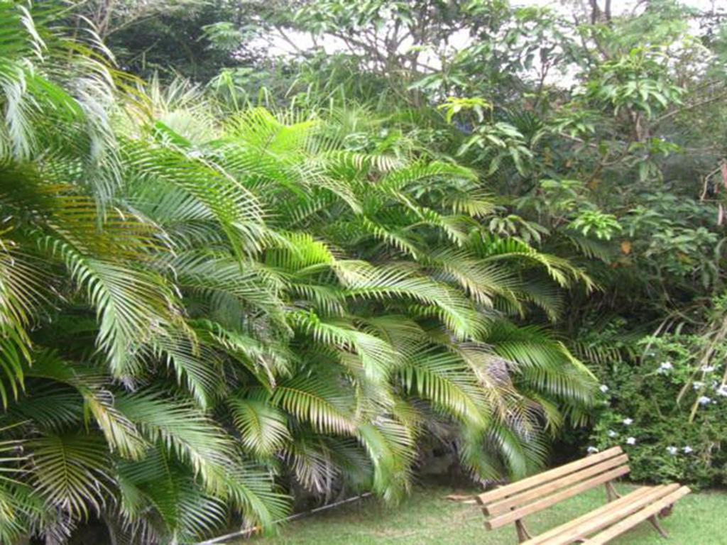 Htl Telhado Verde Armacao dos Buzios Luaran gambar